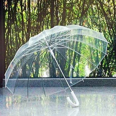 Raga Plus Transparent Rain Umbrella Umbrella(Transparent)