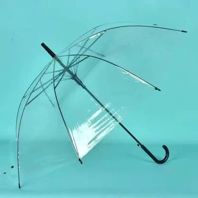 ASTRELLA ARUG_Clear Bubble Travel Umbrella Umbrella(Transparent)
