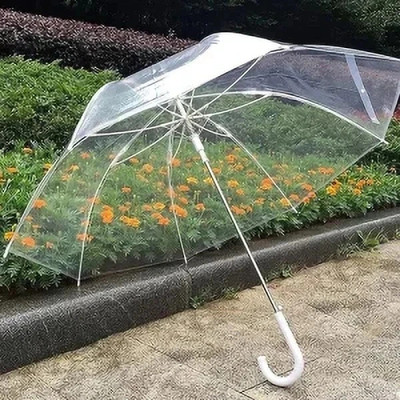 MARUTI ENTERPRISEE Stylish transparent umbrella - clear, elegant & perfect for any weather Umbrella(Transparent)
