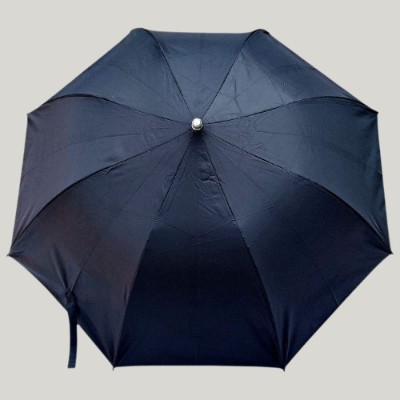 Rainpopson Two Fold Umbrella For Men & Women SOFU233 Umbrella(Black)