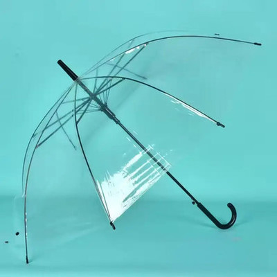 Raga Plus SSA4 Transparent Umbrella 1 PC Umbrella(Transparent)