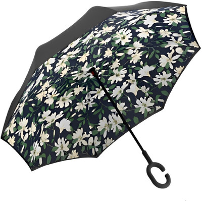UK Enterprise Double Layer Reversible No Drip Umbrella with C Shape Handle Newest Windproof Umbrella(Green, White)