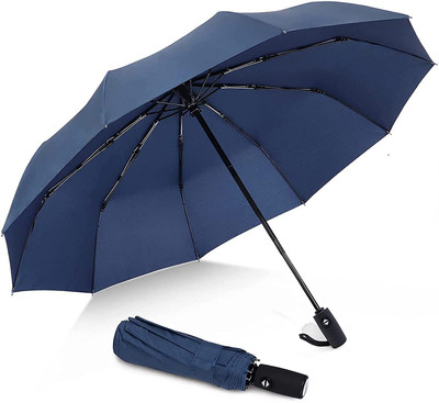 Sampri 2 fold Auto Open Polyester Men/Women UV Protection Monsoon/Rainy & Sun Umbrella Umbrella(Blue)