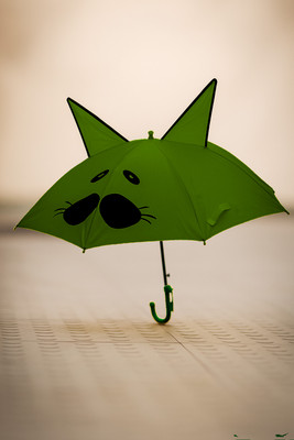 GGI Cat Design Umbrella, Cute Animal Face Pattern Umbrella(Green)