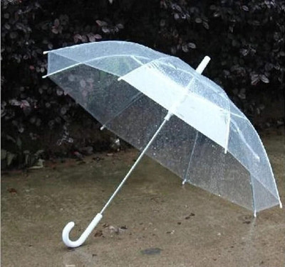 ASTRELLA ARUG_Transparent Foldable Windproof Umbrella With Long Handle Durable Umbrella(Transparent)