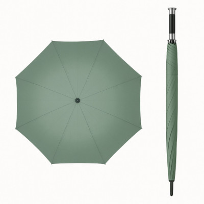 AshandRoh Umbrella Auto Open Portable Windproof with Travel Cover Umbrella(Green)
