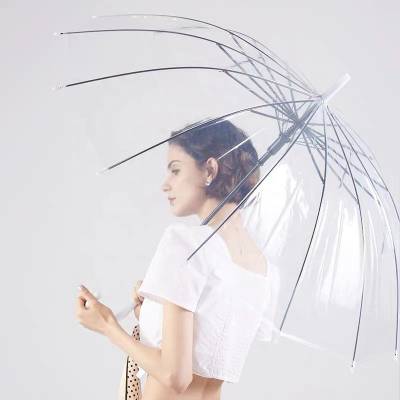 Leaffybezz Transparent Umbrella/Chhata/Chhatri for Men,Women & Kids,Auto Open/Close Button Umbrella