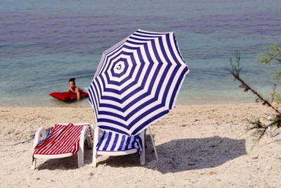 Rainpopson Designer Garden Umbrella for Outdoor Use Umbrella(White, Blue)