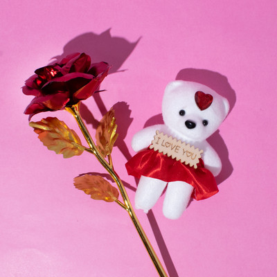 StatueStudio Soft Toy, Artificial Flower Gift Set