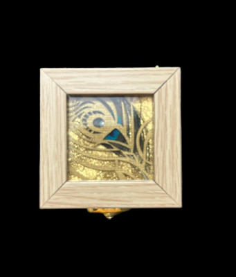 M jewelpack Fancy Coin Box Flip Lock Closer Vanity Box(Brige)