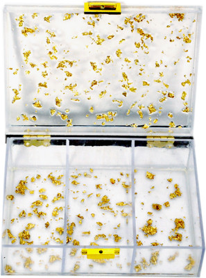 Gembox box can walk door to door Multi Purpose Vanity Box(Transparent, Gold)