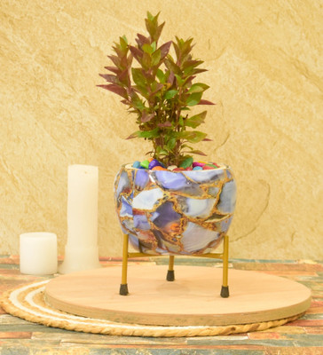SONE KEY CHIDIYA Plant Container Set(Metal)
