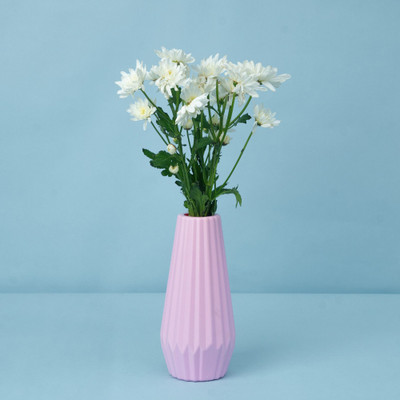 Mrida and Maati 8inch Flower Vase (Without Flower) Table vase for office and Home Plastic Vase Plastic Vase deal from flipkart