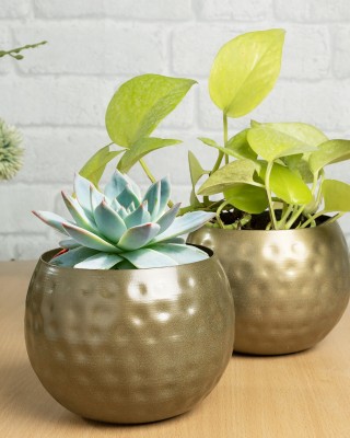 Homesake Country Style Belly Bucket Planters Antique Golden, Hammer pots Set Of 2 Iron Vase(4 inch, Gold)