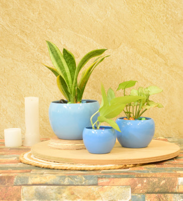 SONE KEY CHIDIYA Desktop Planter/Home/Indoor/Outdoor/Plant Container 5,4,3 inch Combo Set/SkyBlue Plant Container Set(Pack of 3, Metal)