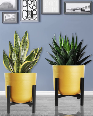 Homesake Pack Of 2 Mid Century Plant Stand with Pot Metal Planter Pot with Stand Iron Vase(5 inch, Gold)
