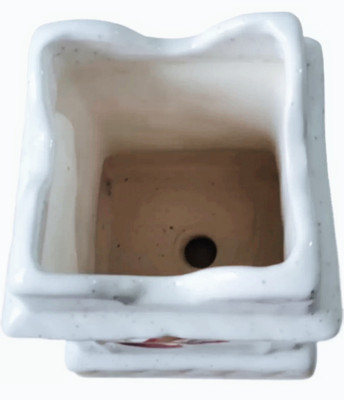 TrulyCeramics Tulsi white Plant Container Set(Ceramic)
