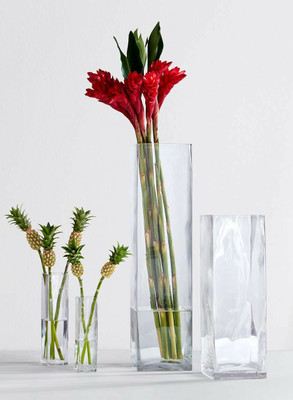 DESHILP Glass Vase(10 inch, Clear)