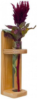 RATAAVJA CRAFT Handcrafted Wooden Wall Hanging Test Tube Vase | Decorative Wall Planter 10 Inch Wooden, Glass Vase(10 inch, Brown)