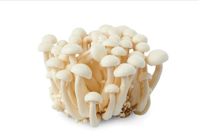 White Shimeji Mushroom(125 g)