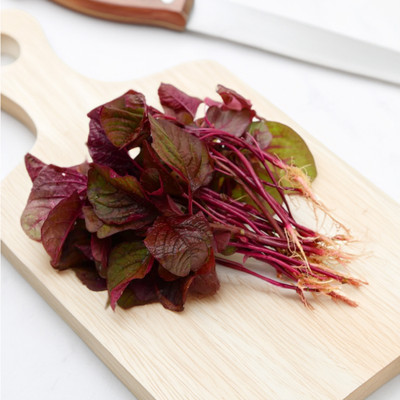 Amaranthus Red Leafy(240-260g)