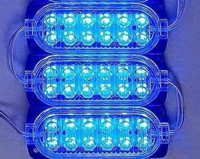 StrawHat 36 LEDs 0.25 m Blue Steady Strip Rice Lights(Pack of 3)