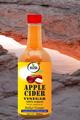 N2B Apple Cider Viengar Vinegar(500 ml)