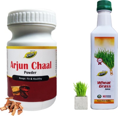 Ekjot Arjun Chal Powder (100g) | Wheatgrass Juice (500ml) | Combo Pack(2 x 100 ml)