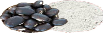 HARAYUG KAUNCH SEEDS BLACK - KAUCH BEEJ KALA - KONCH - MUCUNA PRURIENS BLACK - COWHAGE(200 g)