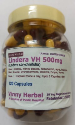 Vinny Herbal Lindera VH 500mg Capsules 120 Caps Jar(120 Capsules)