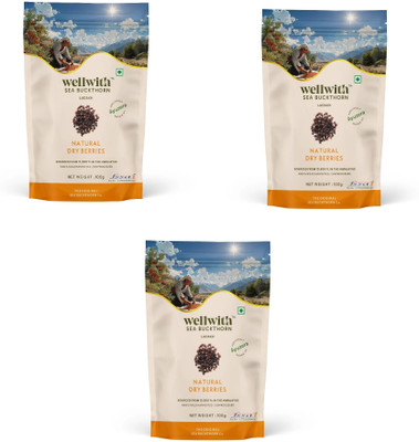 Ayuzera by Wellwith Sea Buckthorn Dry Berry Rich in Omega 3,6,7,9 & Vitamins(300 g)