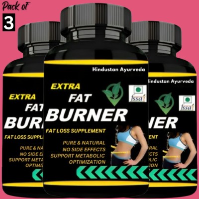 Hindustan Ayurveda Extra Fat Burner, Body Weight Loss, Control Fat, Flavor Mango, Pack of 3(3 x 33.33 g)