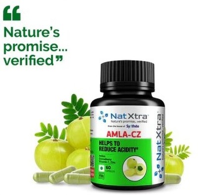 NatXtra AMLA-CZ - Immunity Booster with Natural Amla Extract, Vitamin C and Active Zinc(60 Tablets)