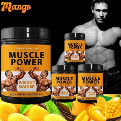 Hindustan Ayurveda Muscle Power, Increase Body Weight Protein, Flavor Mango, Pack of 4(4 x 125 g)