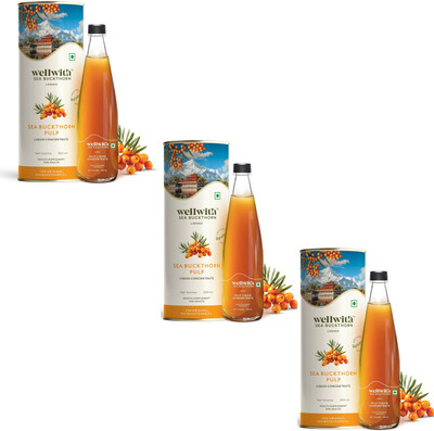 Wellwith Ayuzera Sea Buckthorn Juice | Antioxidants, Vitamin C, Omega 3 6 7 9(3 x 300 ml)
