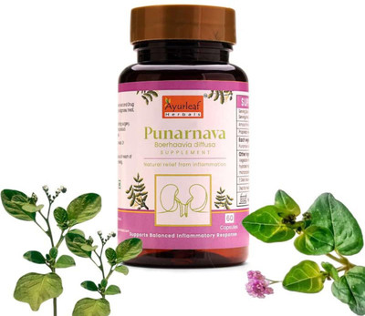 AYURLEAF HERBALS Punarnava Capsules | Natural Supports Healthy Appetite, Heart & Urinary Health(60 Capsules)