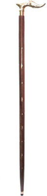 ASR SURGICAL AC06 Walking Stick