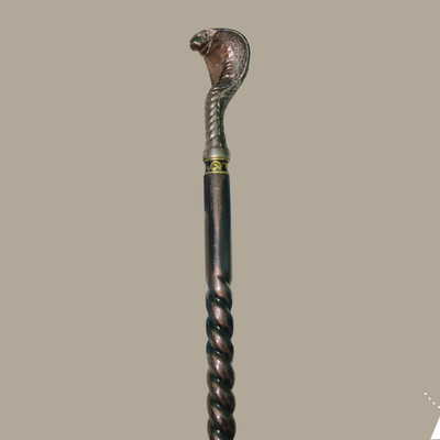 M S RISE 1234567 Walking Stick