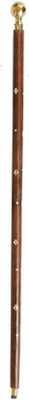 ASR SURGICAL AC05 Walking Stick
