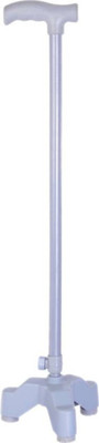 KDS SURGICAL GKG003 Walking Stick