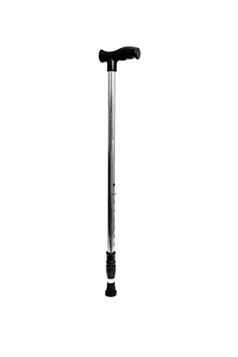 Bexdir SINGLE LEG Walking Stick