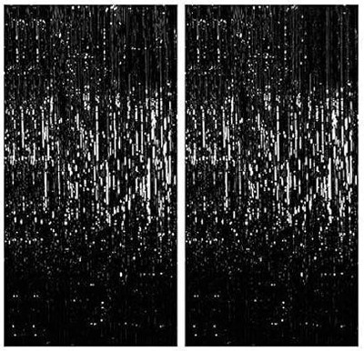 PopTheParty Black Foil Curtain For Decoration Fringe Curtains Black Frills Pack of 2(Black)