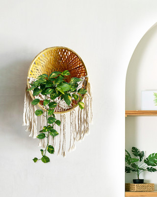 Kasba Cotton Macrame Decorative Wall Hanging Bamboo Basket(9 inch X 9 inch, Ivory)