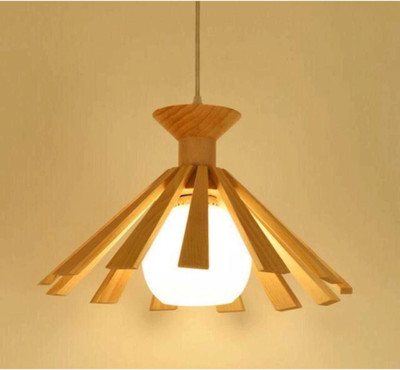 ZADLAXAR Pendant Wall Lamp Without Bulb