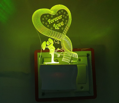 UKANI Picture Light Wall Lamp With Bulb