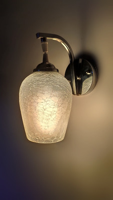 PR Prashant Pendant Wall Lamp Without Bulb