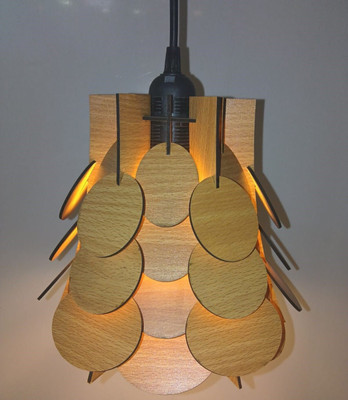 SEL Pendant Wall Lamp With Bulb