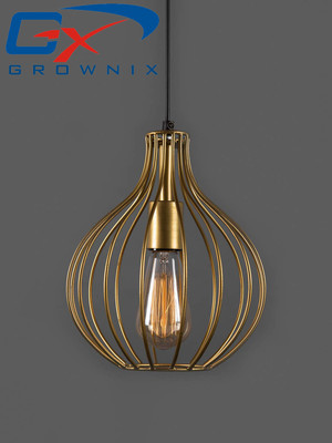GROWNIX Pendant Wall Lamp With Bulb