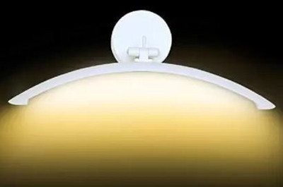 Whiteray Picture Light Wall Lamp With Bulb