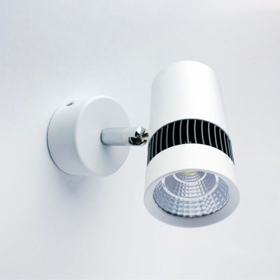 TheStudStore Picture Light Wall Lamp With Bulb